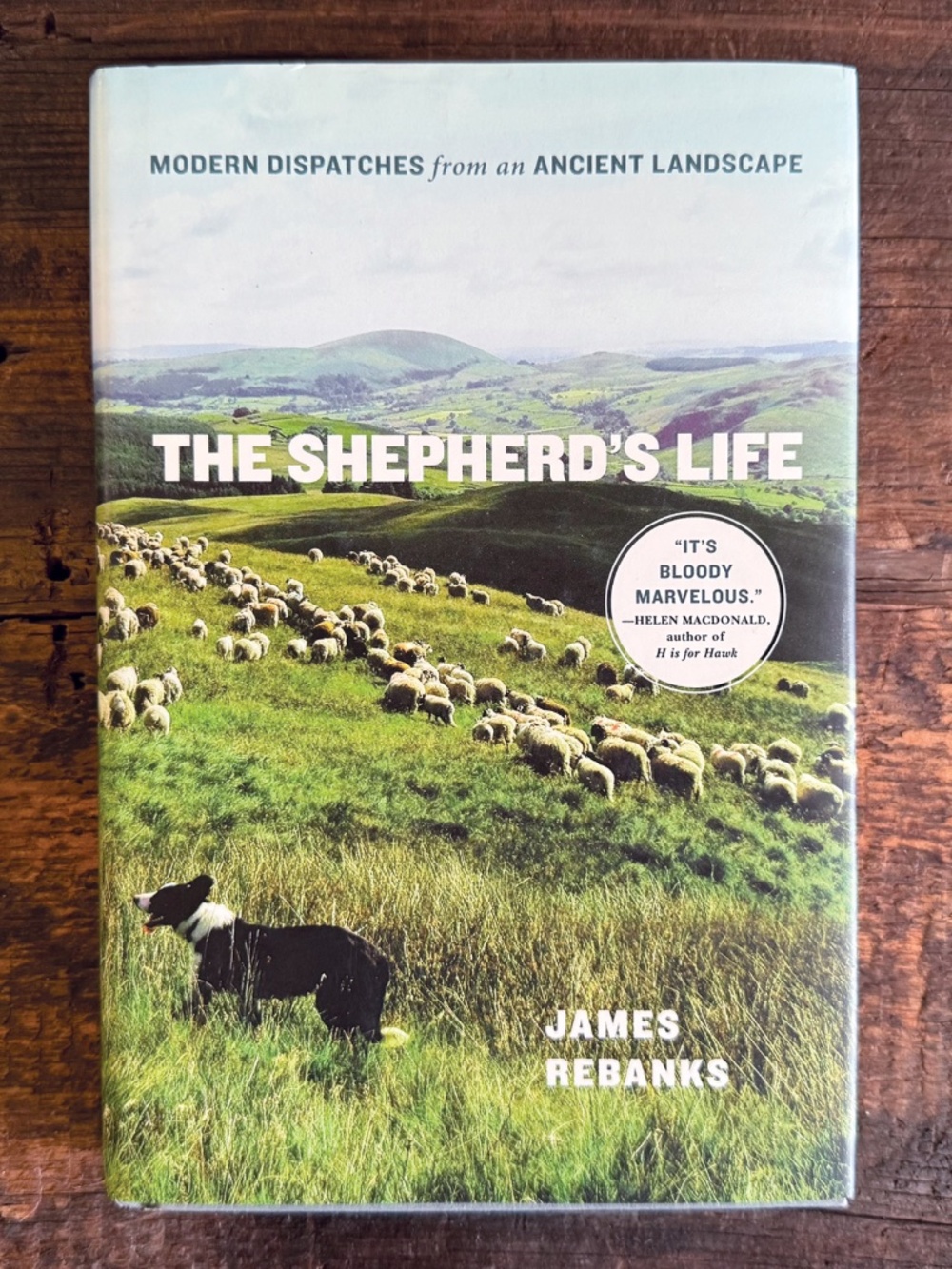 The Shepherd’s Life Hardcover Book